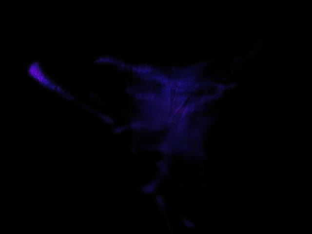 PC130037